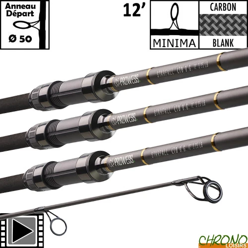 Canne Prowess Starfall LTD D.G 50mm 12' 3.25lbs (les 3) 1 Canne Prowess Starfall LTD D.G 50mm 12' 3.25lbs (les 3)