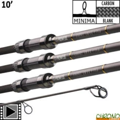 Canne Prowess Starfall LTD D.G 10' 3lbs (les 3)