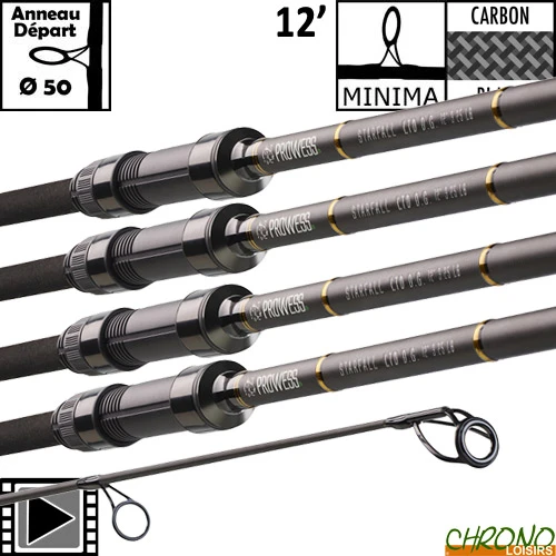 Canne Prowess Starfall LTD D.G 50mm 12' 3.25lbs (les 4) 1 Canne Prowess Starfall LTD D.G 50mm 12' 3.25lbs (les 4)